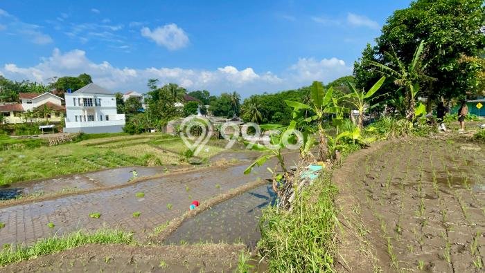 Tanah Komersial Dijual di Cimalaka Sumedang 2715m2 Tanah Komersial Dijual di Cimalaka Sumedang 2715m2