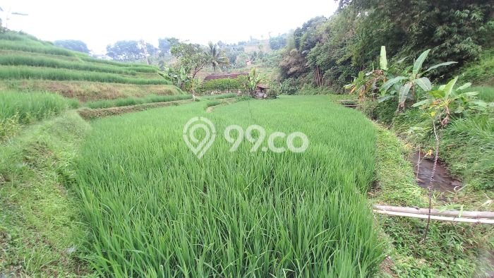 LOKASI PREMIUM! Tanah di Sumedang Selatan, Luas 884m², Jalur Mudah LOKASI PREMIUM! Tanah di Sumedang Selatan, Luas 884m², Jalur Mudah