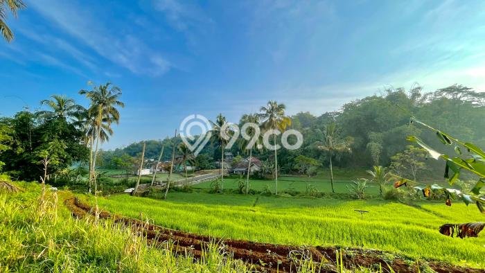 Jarang Ada! Tanah di Darangdan Punya Luas 3337m2 SHM Jarang Ada! Tanah di Darangdan Punya Luas 3337m2 SHM