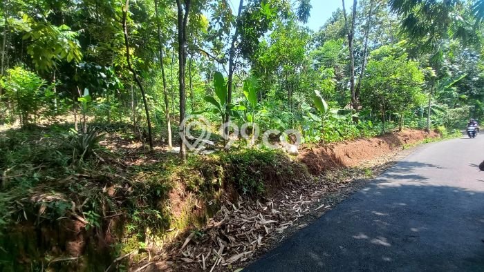 Tanah Strategis Dijual di Cisitu Sumedang 569m2 Tanah Strategis Dijual di Cisitu Sumedang 569m2