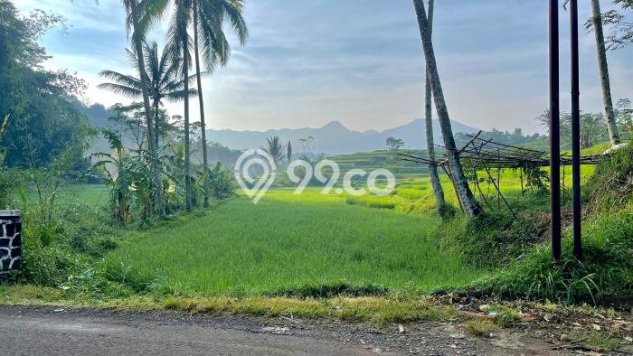 Jarang Ada! Tanah di Darangdan Punya Luas 3337m2 SHM Jarang Ada! Tanah di Darangdan Punya Luas 3337m2 SHM