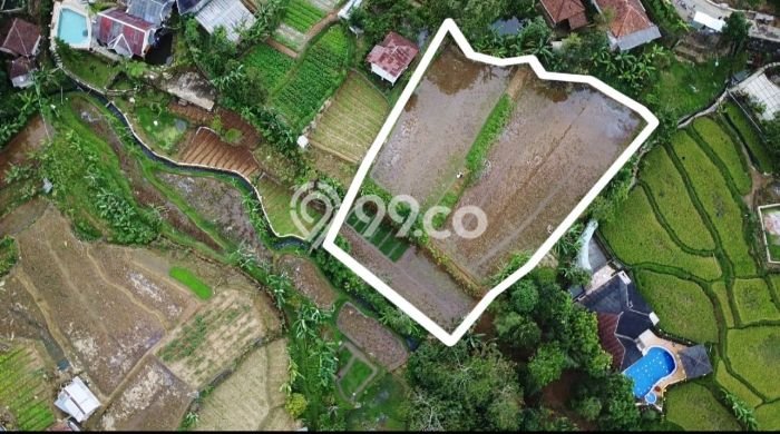 Lahan untuk Dijual Lokasi Bojong, Purwakarta Luas 2129m2 SHM Lahan untuk Dijual Lokasi Bojong, Purwakarta Luas 2129m2 SHM