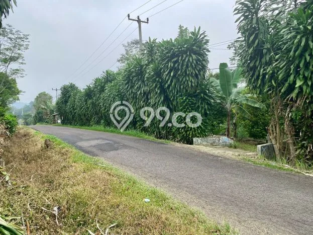 HARGA TERBAIK! Tanah Kawasan Kiarapedes, Luas 4300m², Dekat Jalan Raya, Cocok untuk Investasi HARGA TERBAIK! Tanah Kawasan Kiarapedes, Luas 4300m², Dekat Jalan Raya, Cocok untuk Investasi