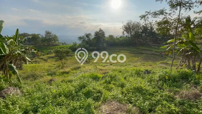 Lahan Investasi Lokasi Tanjungkerta Sumedang SHM Lahan Investasi Lokasi Tanjungkerta Sumedang SHM