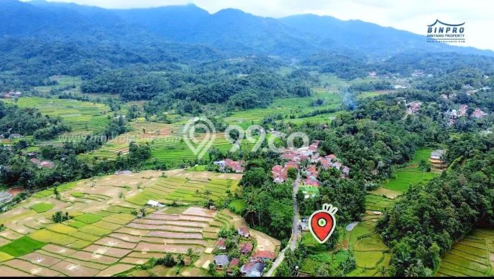 Kavling Tanah Dijual di Bojong Purwakarta Spesifikasi 2100m2 Kavling Tanah Dijual di Bojong Purwakarta Spesifikasi 2100m2