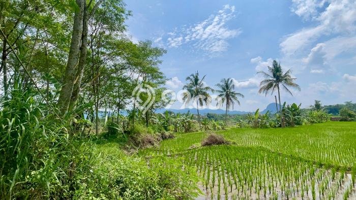 Tanah Komersial Kawasan Tanjungkerta, Luas 1418m², Lokasi Strategis Tanah Komersial Kawasan Tanjungkerta, Luas 1418m², Lokasi Strategis