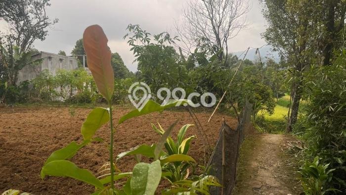 Tanah Kosong Dijual di Purwakarta dengan Area 979m2 Tanah Kosong Dijual di Purwakarta dengan Area 979m2