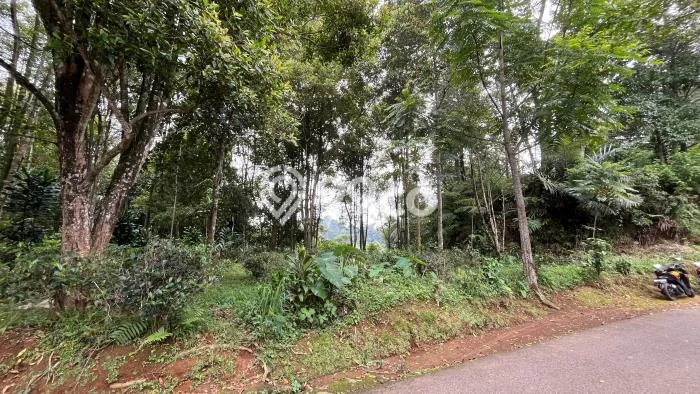 Kavling Tanah di Bojong Dijual Luas 356m2 Legalitas SHM Kavling Tanah di Bojong Dijual Luas 356m2 Legalitas SHM