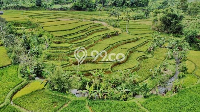 Lahan Investasi Lokasi Bojong Purwakarta SHM Lahan Investasi Lokasi Bojong Purwakarta SHM