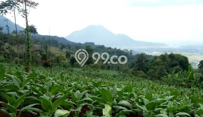 Tanah Kosong Dijual di Garut dengan Area 70000m2 Tanah Kosong Dijual di Garut dengan Area 70000m2