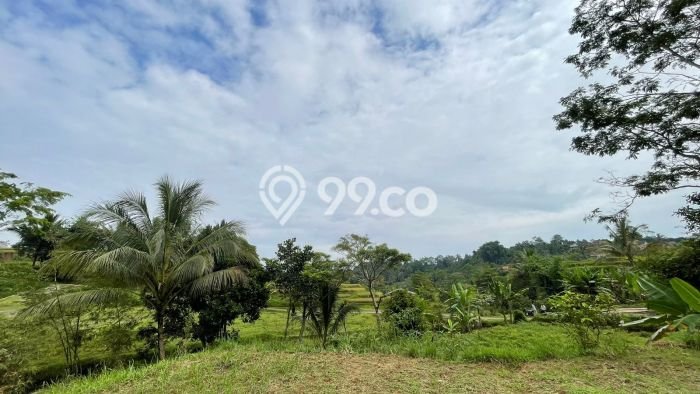 Lahan Kosong Dijual di Purwakarta dengan Area 1767m2 Lahan Kosong Dijual di Purwakarta dengan Area 1767m2