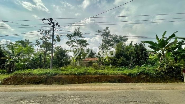 Lahan Investasi Lokasi Bojong Purwakarta SHM Lahan Investasi Lokasi Bojong Purwakarta SHM