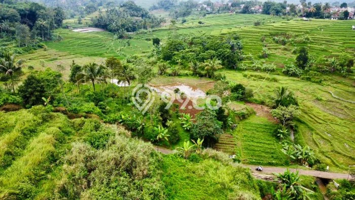 Lahan Kosong Dijual di Darangdan, Purwakarta, Luas 1700m2 Area Strategis Lahan Kosong Dijual di Darangdan, Purwakarta, Luas 1700m2 Area Strategis