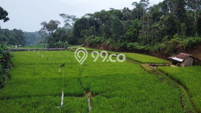 Tanah Kawasan Bojong, Luas 8106m², Area Strategis, Kawasan Asri, Kontur Datar Tanah Kawasan Bojong, Luas 8106m², Area Strategis, Kawasan Asri, Kontur Datar
