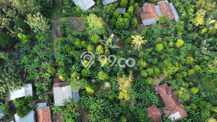 Tanah Dijual Lokasi Bojong, Purwakarta dengan Luas Tanah 840m2 dan Status SHM Tanah Dijual Lokasi Bojong, Purwakarta dengan Luas Tanah 840m2 dan Status SHM