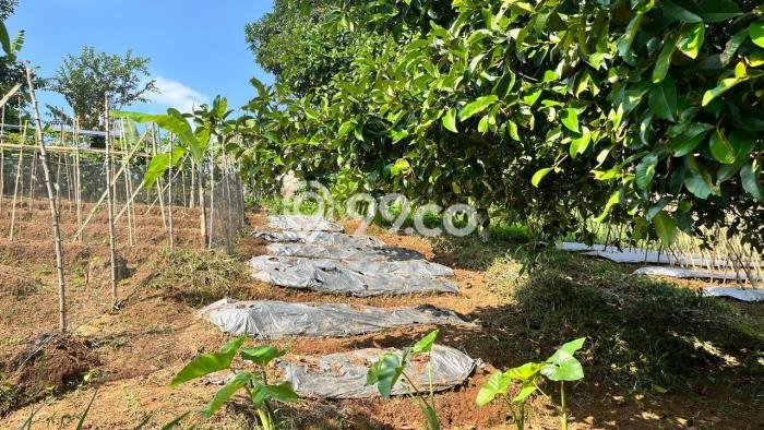 Tanah Area Berkembang di Bojong, Luas 2700m², Cocok untuk Investasi Tanah Area Berkembang di Bojong, Luas 2700m², Cocok untuk Investasi