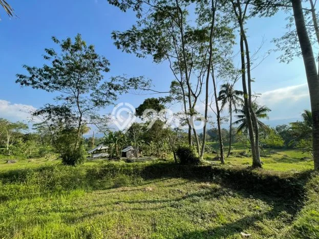 Lahan Investasi Lokasi Tanjungkerta Sumedang SHM Lahan Investasi Lokasi Tanjungkerta Sumedang SHM