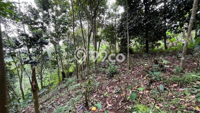 Lahan Kosong Dijual di Bojong, Purwakarta, Luas 2400m2 Area Strategis Lahan Kosong Dijual di Bojong, Purwakarta, Luas 2400m2 Area Strategis