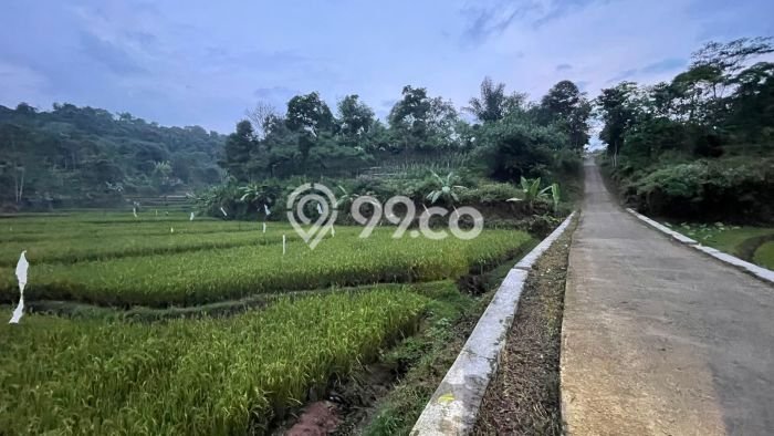 Tanah Kawasan Bojong, Luas 8106m², Area Strategis, Kawasan Asri, Kontur Datar Tanah Kawasan Bojong, Luas 8106m², Area Strategis, Kawasan Asri, Kontur Datar