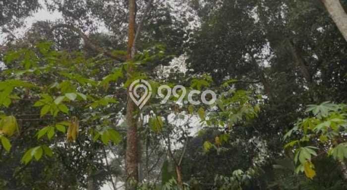 For Sale Rumah Elit Exclusive di Wanayasa, Purwakarta For Sale Rumah Elit Exclusive di Wanayasa, Purwakarta