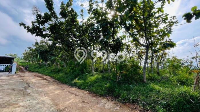 Kavling Tanah Dijual di Sumedang Selatan, Sumedang, Luas 3663m2 Area Strategis Kavling Tanah Dijual di Sumedang Selatan, Sumedang, Luas 3663m2 Area Strategis