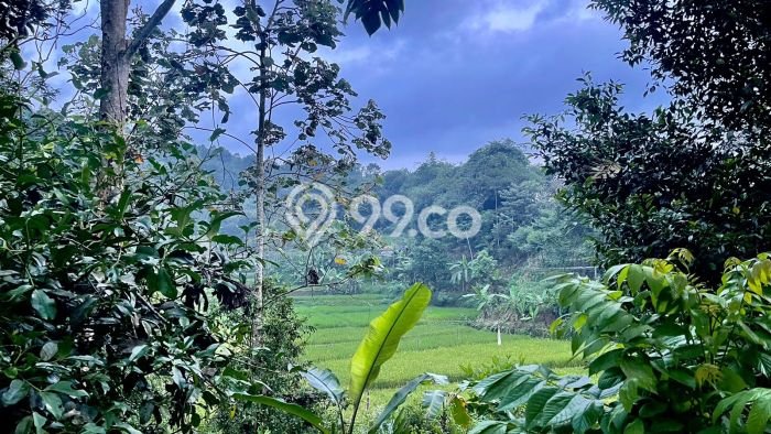 Tanah Kawasan Bojong, Luas 8106m², Area Strategis, Kawasan Asri, Kontur Datar Tanah Kawasan Bojong, Luas 8106m², Area Strategis, Kawasan Asri, Kontur Datar