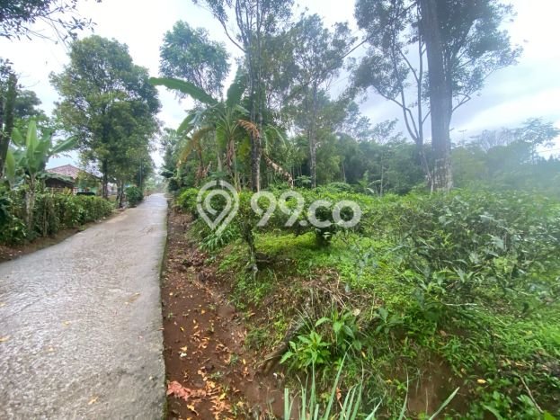 Tanah Komersial Dijual di Bojong Purwakarta 2000m2 Tanah Komersial Dijual di Bojong Purwakarta 2000m2