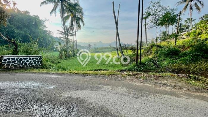 Jarang Ada! Tanah di Darangdan Punya Luas 3337m2 SHM Jarang Ada! Tanah di Darangdan Punya Luas 3337m2 SHM