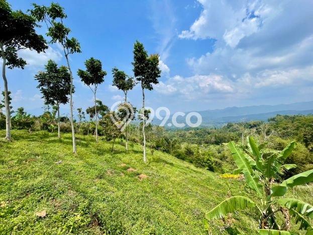 Tanah Komersial Dijual di Sumedang Selatan Sumedang 1097m2 Tanah Komersial Dijual di Sumedang Selatan Sumedang 1097m2