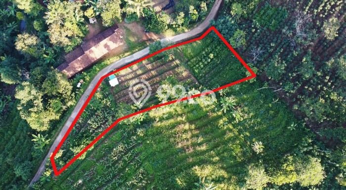 Kavling Tanah Dijual di Sumedang Selatan Sumedang Spesifikasi 1165m2 Kavling Tanah Dijual di Sumedang Selatan Sumedang Spesifikasi 1165m2