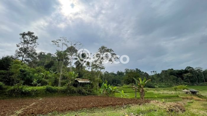 Lahan Kosong Dijual di Purwakarta dengan Area 1767m2 Lahan Kosong Dijual di Purwakarta dengan Area 1767m2
