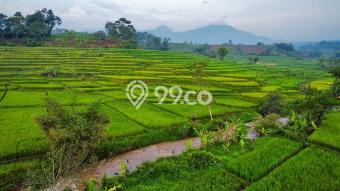 Kavling Tanah Dijual di Darangdan Purwakarta Spesifikasi 1731m2 Kavling Tanah Dijual di Darangdan Purwakarta Spesifikasi 1731m2