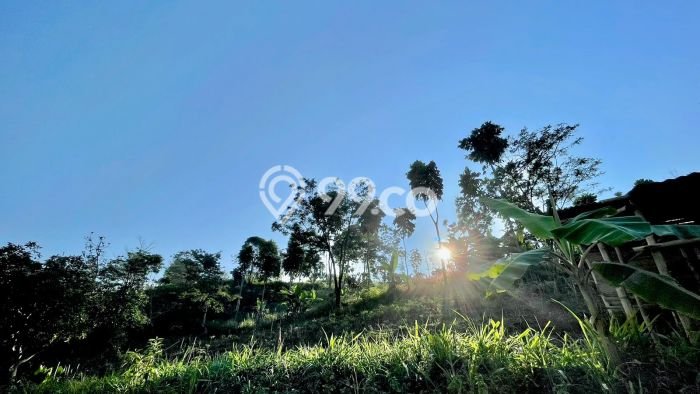 Kavling Tanah Dijual di Sumedang Selatan Sumedang Spesifikasi 1165m2 Kavling Tanah Dijual di Sumedang Selatan Sumedang Spesifikasi 1165m2
