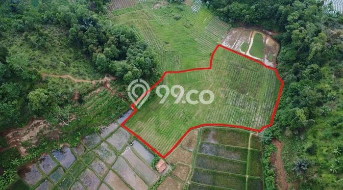 Tanah Kavling di Bojong Dijual dengan Luas 3669m2 Tanah Kavling di Bojong Dijual dengan Luas 3669m2