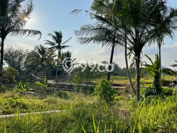 Lahan Investasi Lokasi Tanjungkerta Sumedang SHM Lahan Investasi Lokasi Tanjungkerta Sumedang SHM