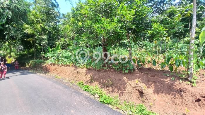 Tanah Strategis Dijual di Cisitu Sumedang 569m2 Tanah Strategis Dijual di Cisitu Sumedang 569m2