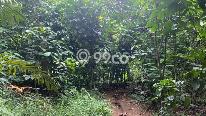 Tanah Dijual Lokasi Bojong, Purwakarta dengan Luas Tanah 931m2 dan Status SHM Tanah Dijual Lokasi Bojong, Purwakarta dengan Luas Tanah 931m2 dan Status SHM