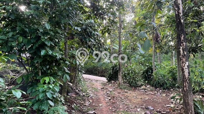Tanah Dijual Lokasi Bojong, Purwakarta dengan Luas Tanah 840m2 dan Status SHM Tanah Dijual Lokasi Bojong, Purwakarta dengan Luas Tanah 840m2 dan Status SHM