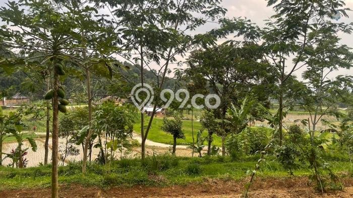 Tanah Kosong Dijual di Purwakarta dengan Area 979m2 Tanah Kosong Dijual di Purwakarta dengan Area 979m2