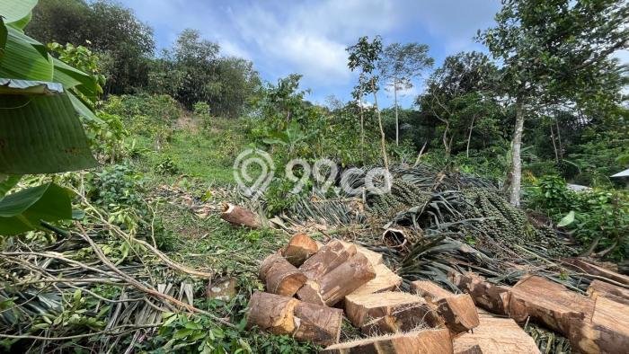 Lahan Dijual Lokasi Bojong, Purwakarta dengan Luas Tanah 1724m2 dan Status SHM Lahan Dijual Lokasi Bojong, Purwakarta dengan Luas Tanah 1724m2 dan Status SHM