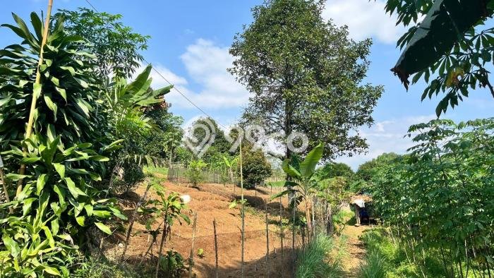 Tanah Area Berkembang di Bojong, Luas 2700m², Cocok untuk Investasi Tanah Area Berkembang di Bojong, Luas 2700m², Cocok untuk Investasi