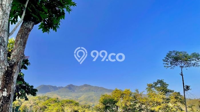 Kavling Tanah Dijual di Sumedang Selatan Sumedang Spesifikasi 1165m2 Kavling Tanah Dijual di Sumedang Selatan Sumedang Spesifikasi 1165m2