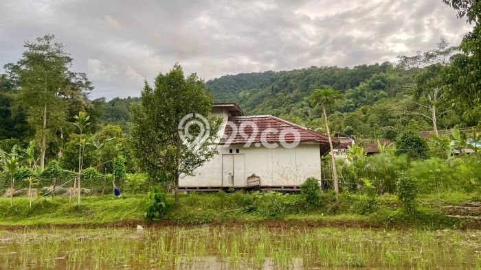 Lahan untuk Dijual Lokasi Bojong, Purwakarta Luas 2129m2 SHM Lahan untuk Dijual Lokasi Bojong, Purwakarta Luas 2129m2 SHM
