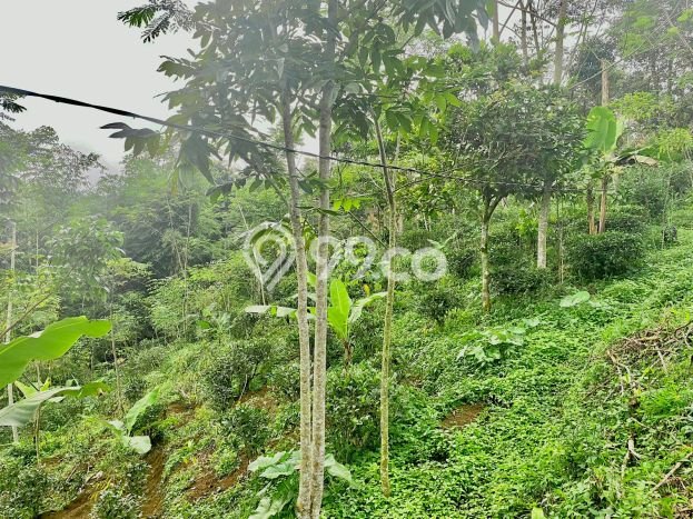 Tanah Kawasan Bojong, Luas 942m², Dekat Fasilitas, Ideal untuk Properti Tanah Kawasan Bojong, Luas 942m², Dekat Fasilitas, Ideal untuk Properti