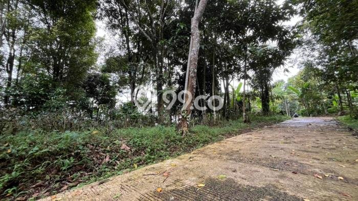 Lahan Kosong Dijual di Bojong, Purwakarta, Luas 2400m2 Area Strategis Lahan Kosong Dijual di Bojong, Purwakarta, Luas 2400m2 Area Strategis