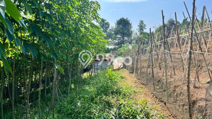 Tanah Area Berkembang di Bojong, Luas 2700m², Cocok untuk Investasi Tanah Area Berkembang di Bojong, Luas 2700m², Cocok untuk Investasi