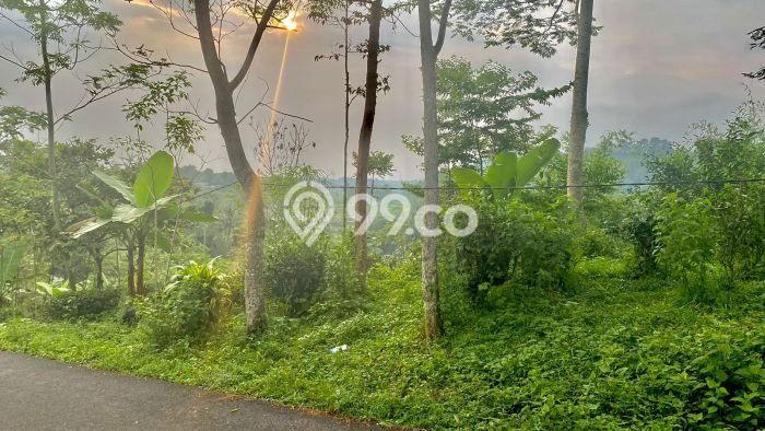 Tanah Kawasan Bojong, Luas 942m², Dekat Fasilitas, Ideal untuk Properti Tanah Kawasan Bojong, Luas 942m², Dekat Fasilitas, Ideal untuk Properti