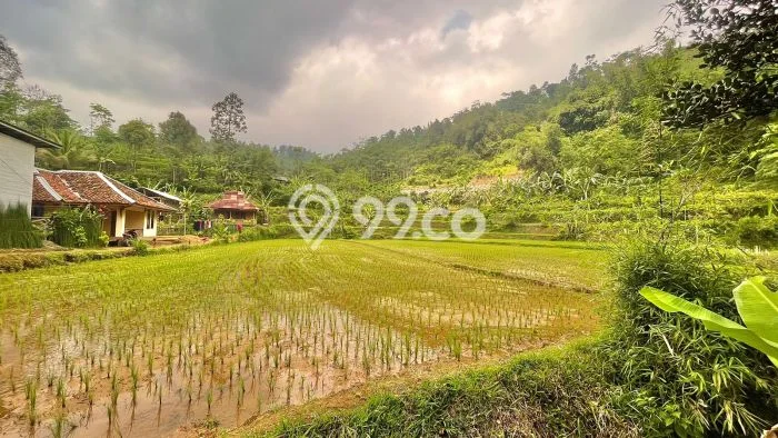 Kavling Tanah Dijual di Bojong Purwakarta Spesifikasi 1430m2 Kavling Tanah Dijual di Bojong Purwakarta Spesifikasi 1430m2