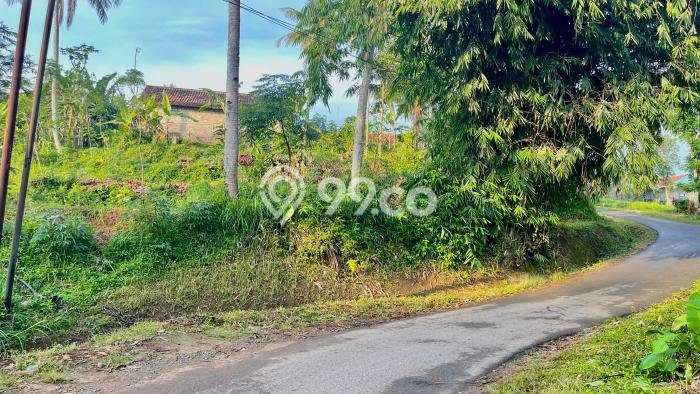 Jarang Ada! Tanah di Darangdan Punya Luas 3337m2 SHM Jarang Ada! Tanah di Darangdan Punya Luas 3337m2 SHM