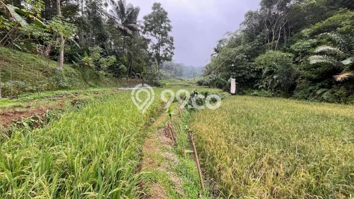 Kavling Tanah Dijual di Bojong Purwakarta Spesifikasi 2100m2 Kavling Tanah Dijual di Bojong Purwakarta Spesifikasi 2100m2